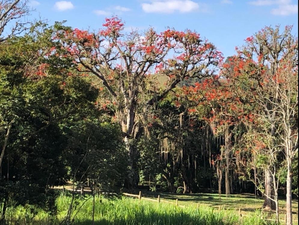 ConservatóriaVivenda Dos Guaranys -Um Projeto Ecologico - Casa别墅 外观 照片