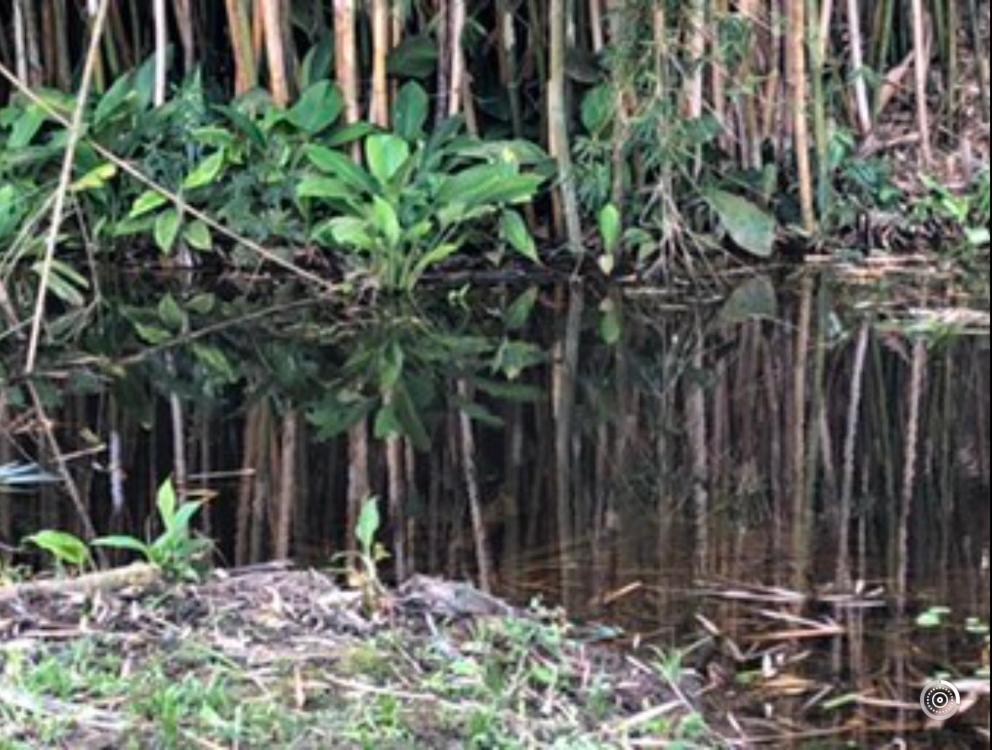 ConservatóriaVivenda Dos Guaranys -Um Projeto Ecologico - Casa别墅 外观 照片