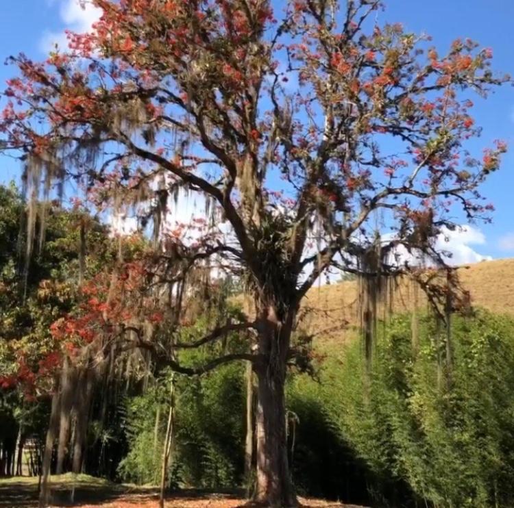ConservatóriaVivenda Dos Guaranys -Um Projeto Ecologico - Casa别墅 外观 照片
