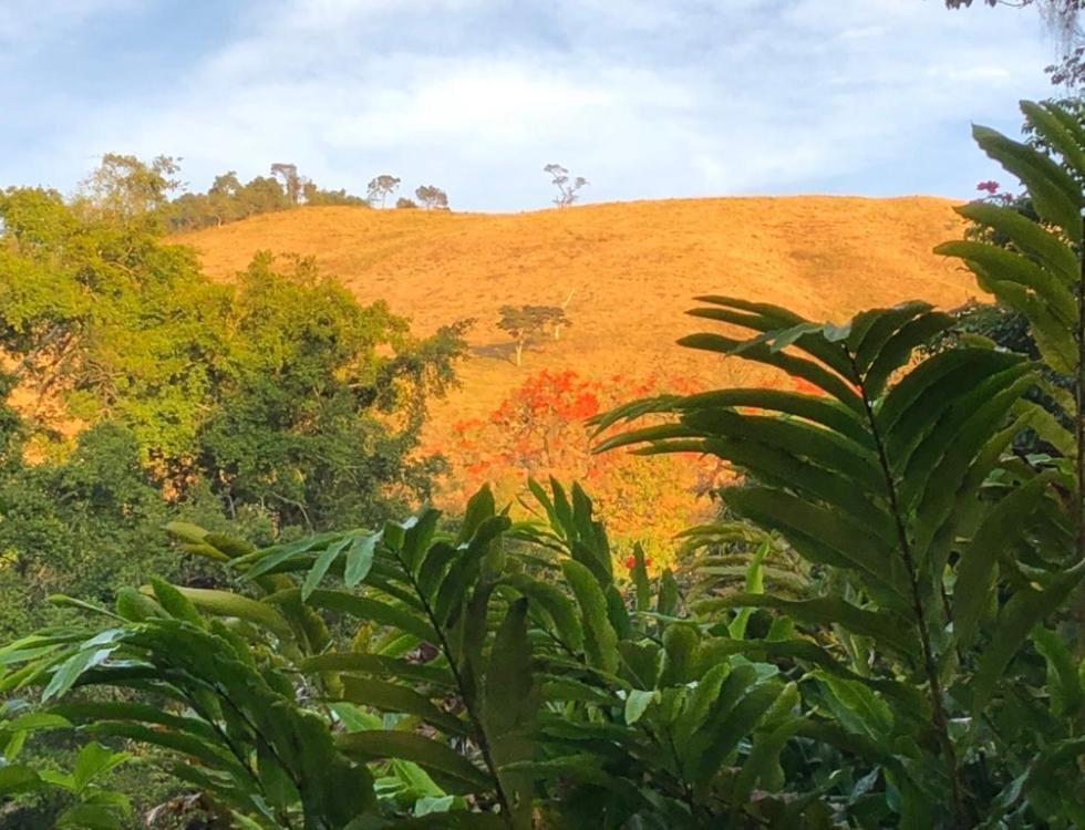ConservatóriaVivenda Dos Guaranys -Um Projeto Ecologico - Casa别墅 外观 照片